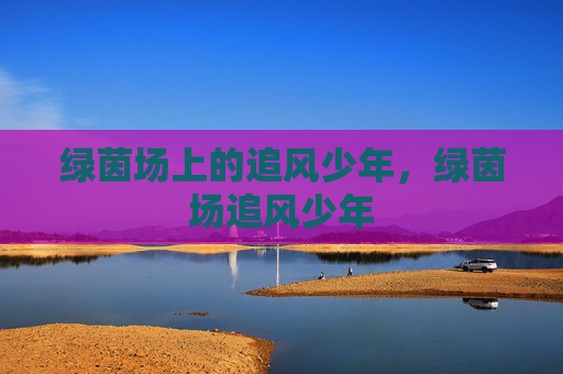 绿茵场上的追风少年，绿茵场追风少年