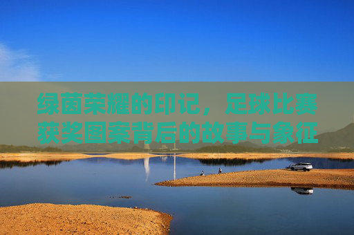 绿茵荣耀的印记，足球比赛获奖图案背后的故事与象征