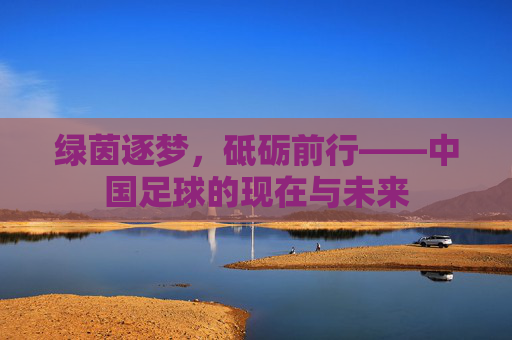 绿茵逐梦，砥砺前行——中国足球的现在与未来