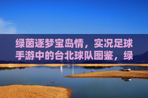 绿茵逐梦宝岛情，实况足球手游中的台北球队图鉴，绿茵逐梦宝岛情，实况足球手游台北球队图鉴