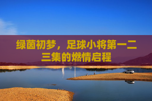 绿茵初梦，足球小将第一二三集的燃情启程