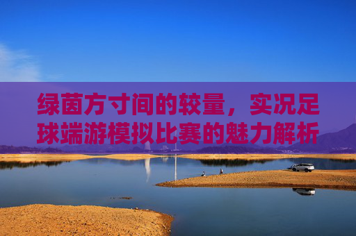 绿茵方寸间的较量，实况足球端游模拟比赛的魅力解析