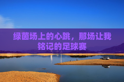 绿茵场上的心跳，那场让我铭记的足球赛