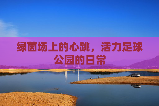 绿茵场上的心跳，活力足球公园的日常
