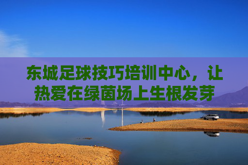 东城足球技巧培训中心，让热爱在绿茵场上生根发芽
