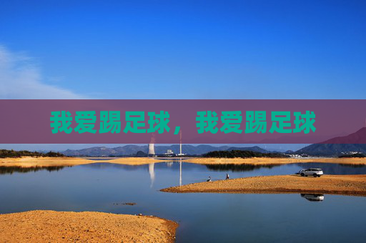 我爱踢足球,我爱踢足球 我爱踢足球,我爱踢足球