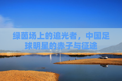 绿茵场上的追光者，中国足球明星的赤子与征途