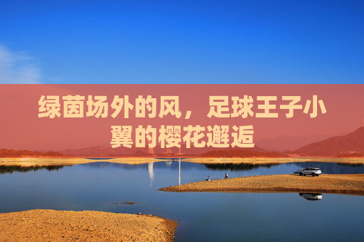 绿茵场外的风，足球王子小翼的樱花邂逅
