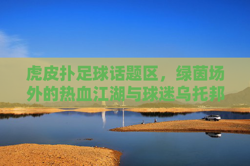虎皮扑足球话题区，绿茵场外的热血江湖与球迷乌托邦