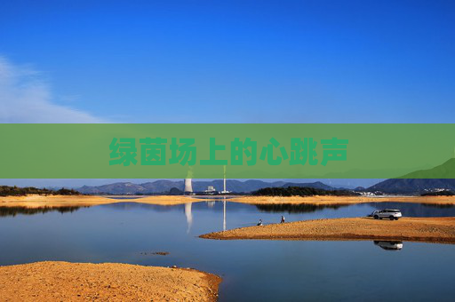 绿茵场上的心跳声