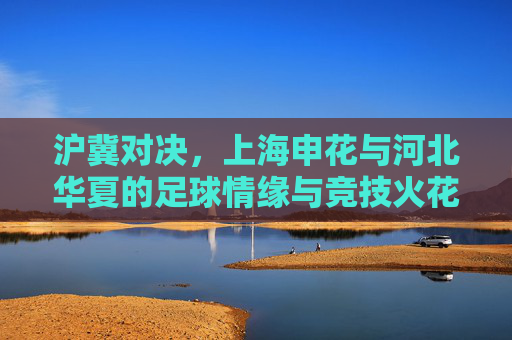 沪冀对决，上海申花与河北华夏的足球情缘与竞技火花