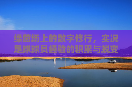 绿茵场上的数字修行，实况足球球员经验的积累与蜕变，绿茵数字修行，实况足球球员的经验蜕变