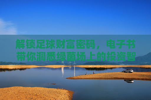 解锁足球财富密码,电子书带你洞悉绿茵场上的投资智慧,绿茵财富密码,电子书解锁足球投资智慧 解锁足球财富密码,电子书带你洞悉绿茵场上的投资智慧,绿茵财富密码,电子书解锁足球投资智慧