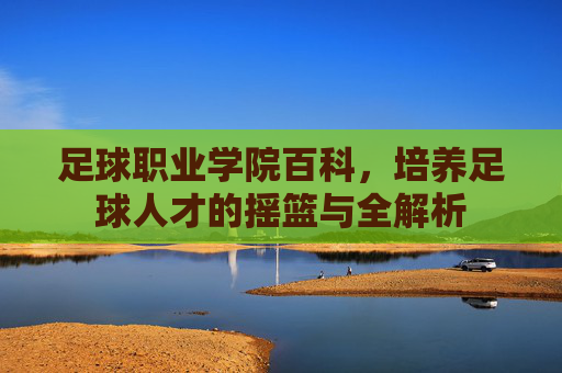 足球职业学院百科，培养足球人才的摇篮与全解析