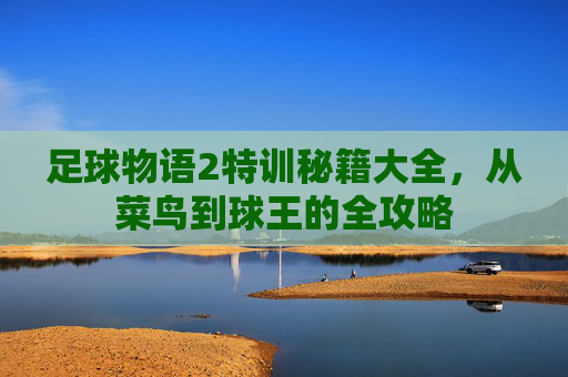 足球物语2特训秘籍大全，从菜鸟到球王的全攻略