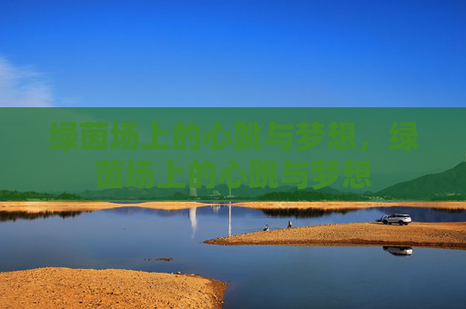 绿茵场上的心跳与梦想，绿茵场上的心跳与梦想