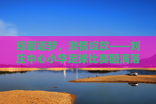 绿茵逐梦,激情绽放——刘庄中心小学足球比赛圆满落幕 绿茵逐梦,激情绽放——刘庄中心小学足球比赛圆满落幕