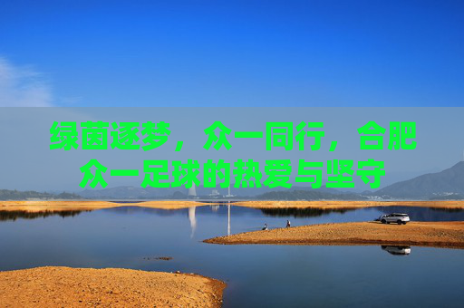 绿茵逐梦，众一同行，合肥众一足球的热爱与坚守