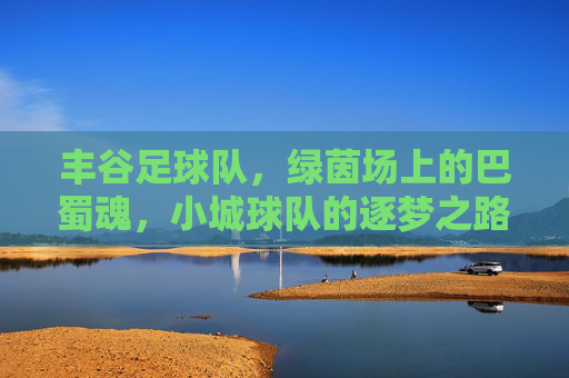 丰谷足球队，绿茵场上的巴蜀魂，小城球队的逐梦之路
