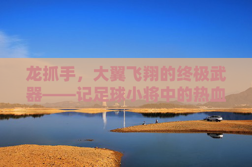 龙抓手,大翼飞翔的终极武器——记足球小将中的热血绝杀 龙抓手,大翼飞翔的终极武器——记足球小将中的热血绝杀