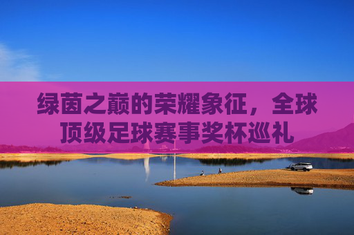 绿茵之巅的荣耀象征,全球顶级足球赛事奖杯巡礼 绿茵之巅的荣耀象征,全球顶级足球赛事奖杯巡礼