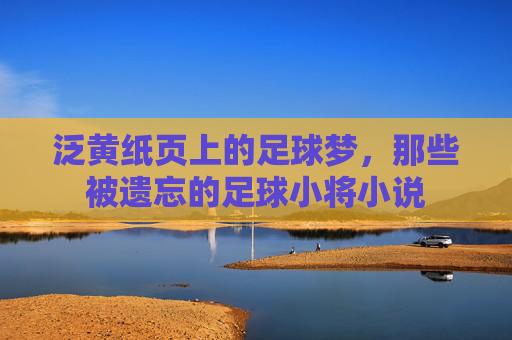 泛黄纸页上的足球梦，那些被遗忘的足球小将小说