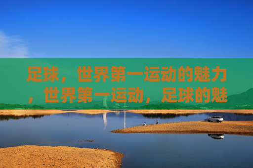 足球，世界第一运动的魅力，世界第一运动，足球的魅力
