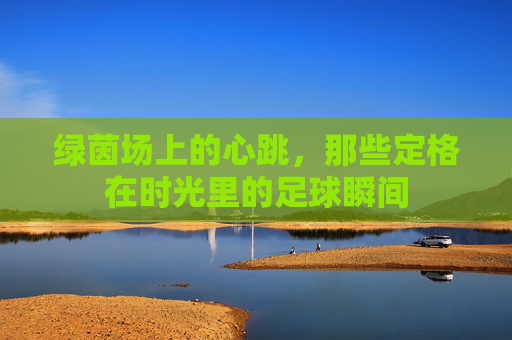 绿茵场上的心跳，那些定格在时光里的足球瞬间