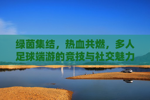 绿茵集结，热血共燃，多人足球端游的竞技与社交魅力