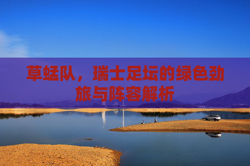 草蜢队，瑞士足坛的绿色劲旅与阵容解析