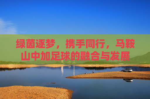 绿茵逐梦，携手同行，马鞍山中加足球的融合与发展