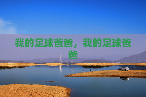 我的足球爸爸，我的足球爸爸
