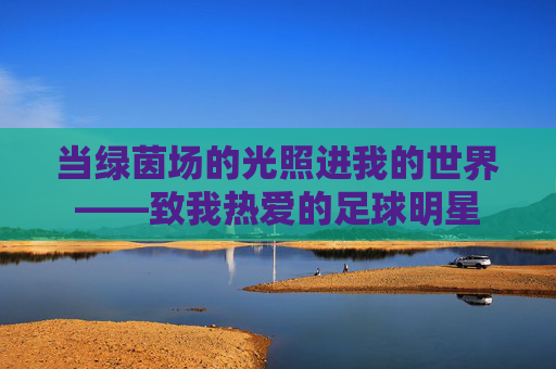 当绿茵场的光照进我的世界——致我热爱的足球明星 当绿茵场的光照进我的世界——致我热爱的足球明星