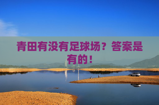 青田有没有足球场?答案是有的! 青田有没有足球场?答案是有的!