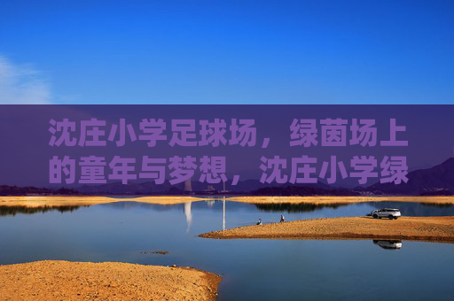 沈庄小学足球场，绿茵场上的童年与梦想，沈庄小学绿茵场，童年与梦想