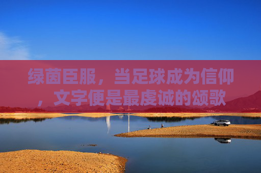 绿茵臣服,当足球成为信仰,文字便是最虔诚的颂歌 绿茵臣服,当足球成为信仰,文字便是最虔诚的颂歌