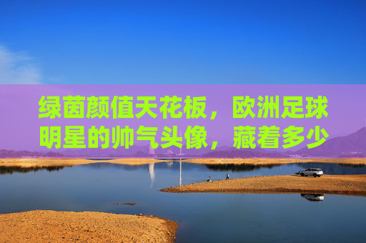 绿茵颜值天花板，欧洲足球明星的帅气头像，藏着多少青春记忆？绿茵颜值天花板，欧洲球星帅气头像里的青春记忆