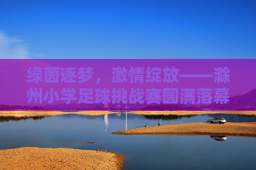 绿茵逐梦,激情绽放——滁州小学足球挑战赛圆满落幕 绿茵逐梦,激情绽放——滁州小学足球挑战赛圆满落幕