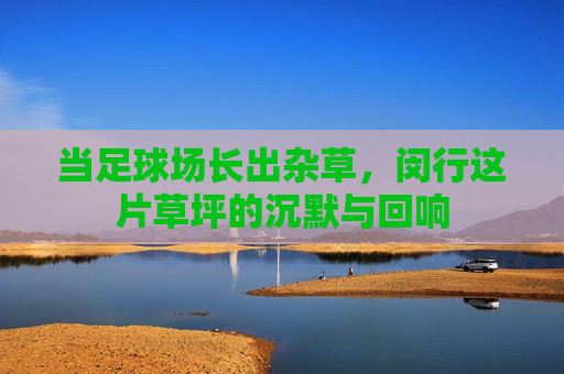 当足球场长出杂草,闵行这片草坪的沉默与回响 当足球场长出杂草,闵行这片草坪的沉默与回响