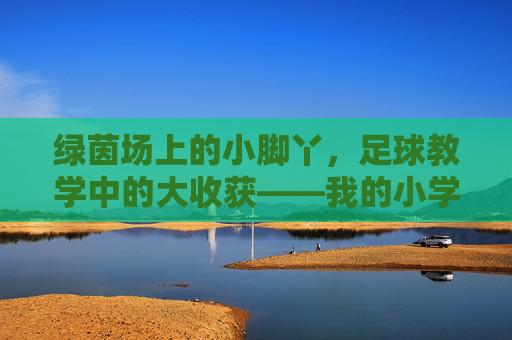 绿茵场上的小脚丫,足球教学中的大收获——我的小学足球教学心得体会 绿茵场上的小脚丫,足球教学中的大收获——我的小学足球教学心得体会