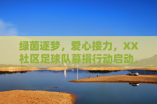 绿茵逐梦，爱心接力，XX社区足球队募捐行动启动，WPS助力透明公益