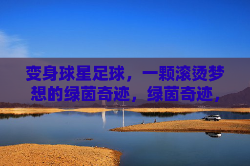 变身球星足球,一颗滚烫梦想的绿茵奇迹,绿茵奇迹,一颗滚烫的球星梦想 变身球星足球,一颗滚烫梦想的绿茵奇迹,绿茵奇迹,一颗滚烫的球星梦想