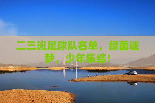 二三班足球队名单,绿茵逐梦,少年集结! 二三班足球队名单,绿茵逐梦,少年集结!