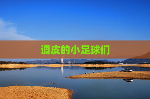调皮的小足球们 调皮的小足球们
