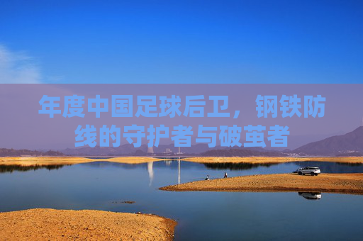 年度中国足球后卫，钢铁防线的守护者与破茧者