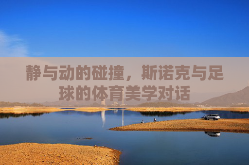 静与动的碰撞，斯诺克与足球的体育美学对话