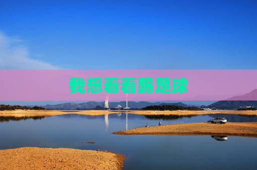 我想看看踢足球