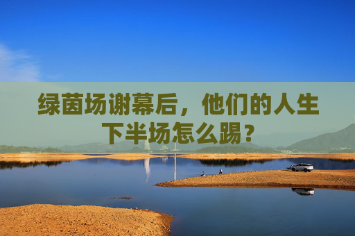 绿茵场谢幕后，他们的人生下半场怎么踢？