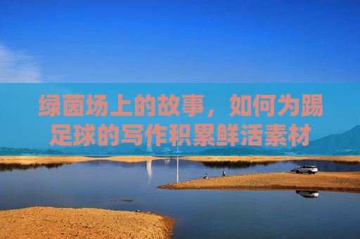 绿茵场上的故事，如何为踢足球的写作积累鲜活素材