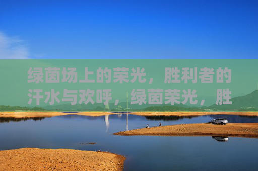 绿茵场上的荣光,胜利者的汗水与欢呼,绿茵荣光,胜利者的汗水与欢呼 绿茵场上的荣光,胜利者的汗水与欢呼,绿茵荣光,胜利者的汗水与欢呼